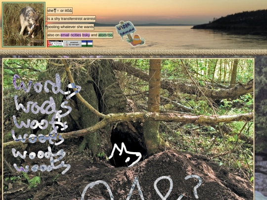 2026/April/21/wordswoofswoods screenshot