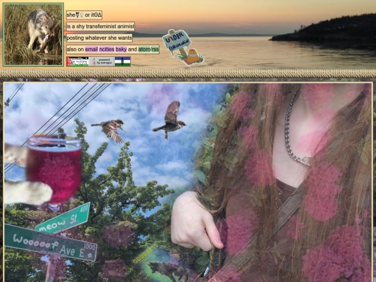 2026/May/10/mothersdaynfur screenshot