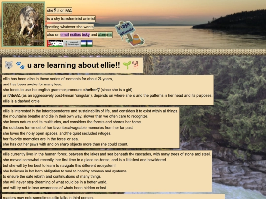 about screenshot