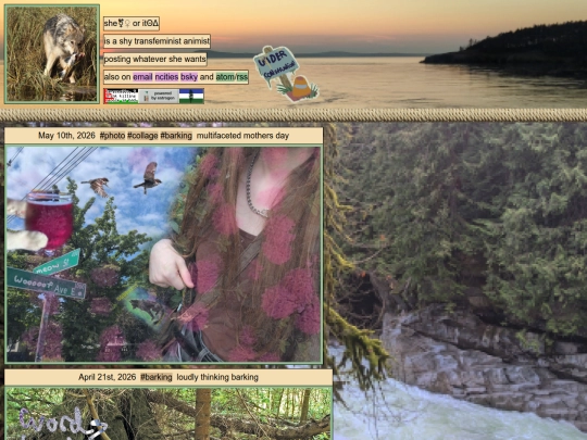 barking screenshot