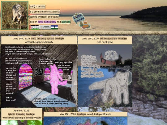 collage screenshot