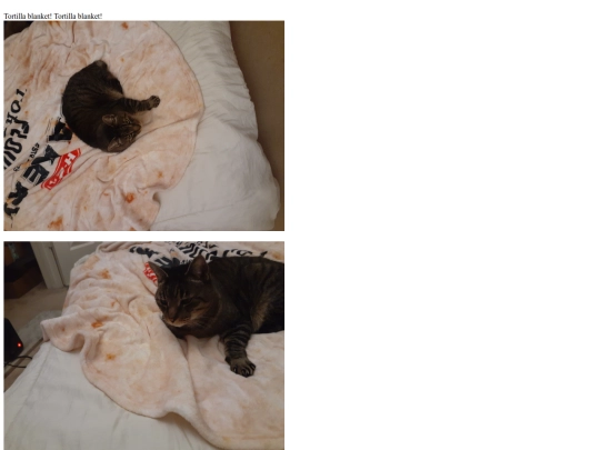 CatPicturesFinn/2025 screenshot