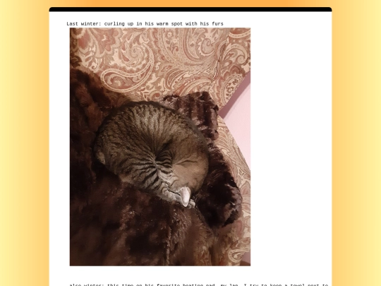 CatPicturesFinn/BestToRichard4 screenshot