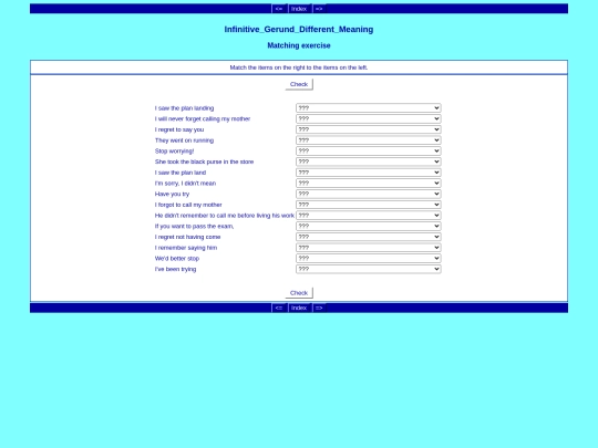 Hotpotatoes_2/Infinitive_Gerund_Different_Meaning screenshot