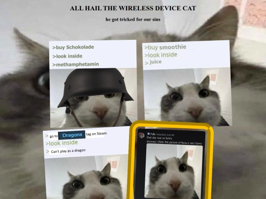 wdvc screenshot