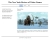The New York Review of Video Games avatar