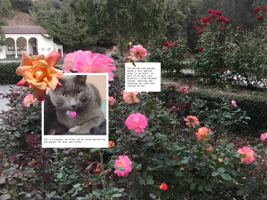 secret-garden-2 screenshot