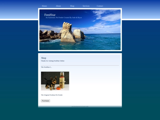 shop screenshot