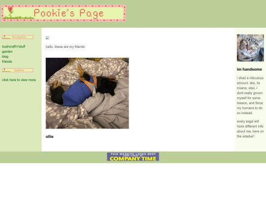 friends screenshot