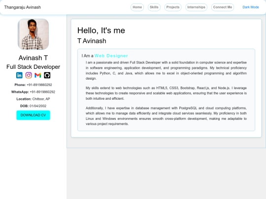 Portfolio screenshot