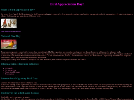 birds screenshot