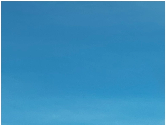 reel screenshot
