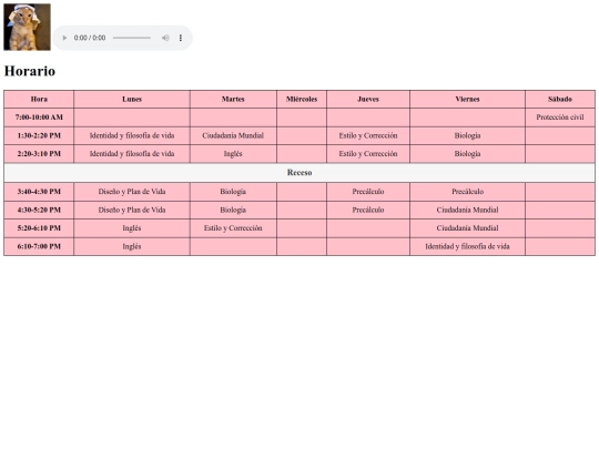 Horario screenshot