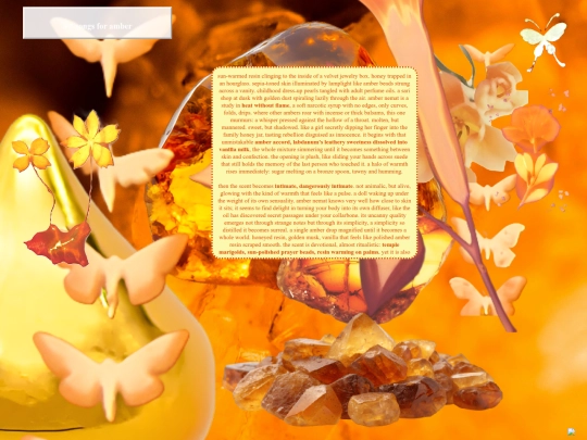 amber screenshot