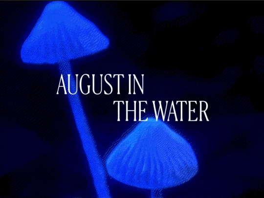 augustinthewater screenshot