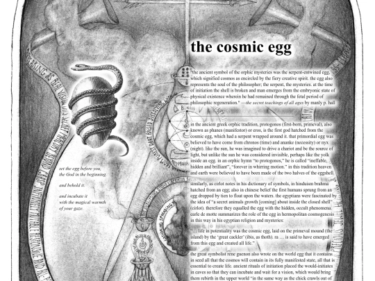 egg screenshot