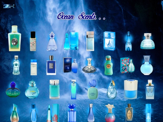 oceanscents screenshot