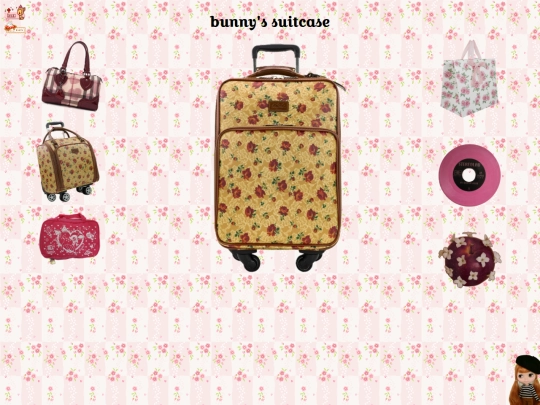parisluggage screenshot