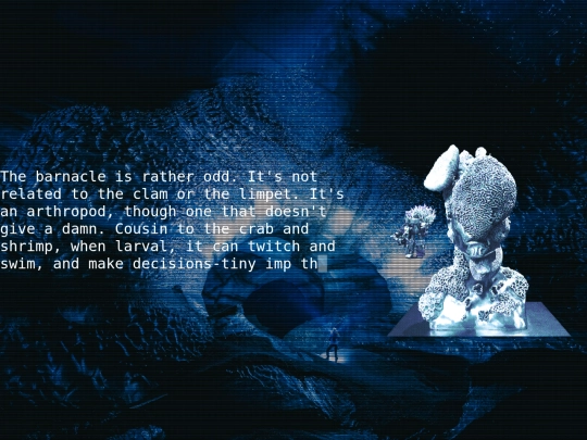 thebarnacle screenshot