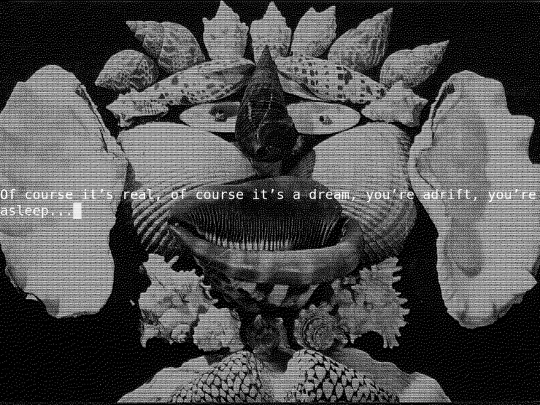 thespiralshell10 screenshot