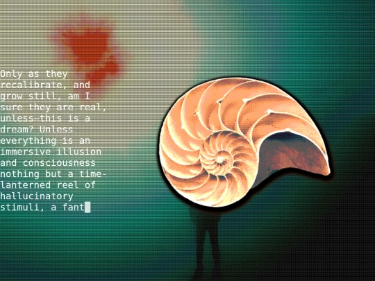 thespiralshell6 screenshot