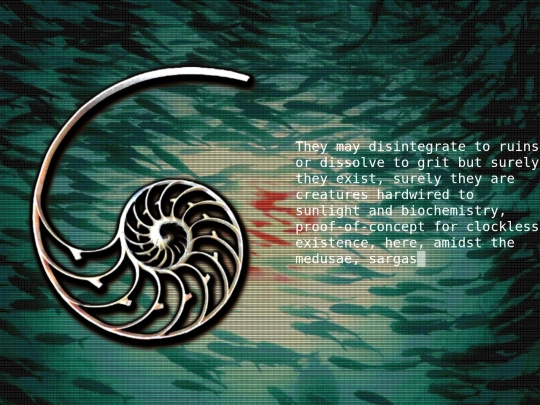 thespiralshell7 screenshot