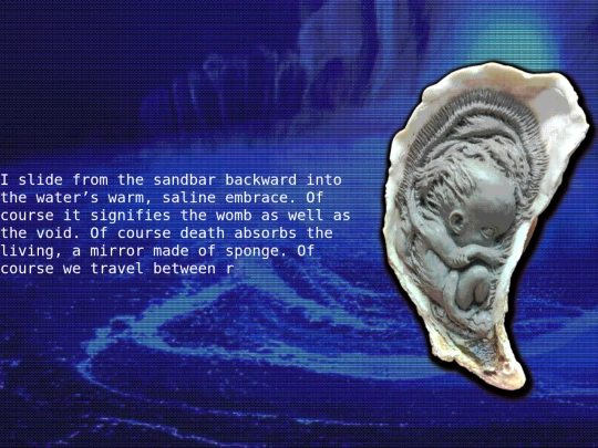 thespiralshell8 screenshot