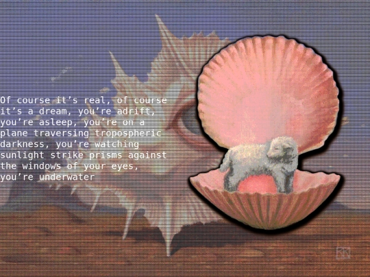 thespiralshell9 screenshot