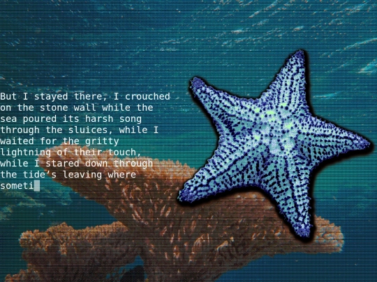 thestarfish2 screenshot