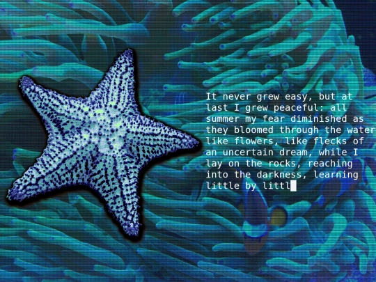 thestarfish3 screenshot