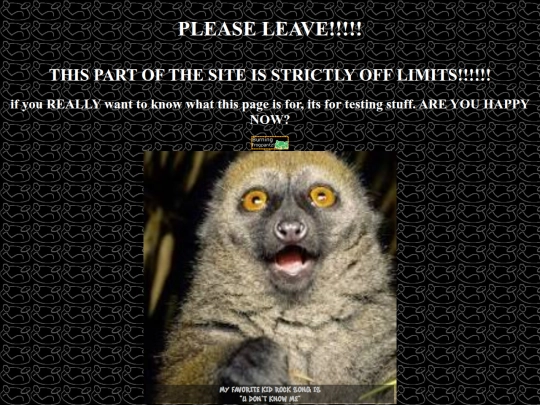 misc/tsting screenshot