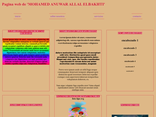 miPaginaWeb screenshot