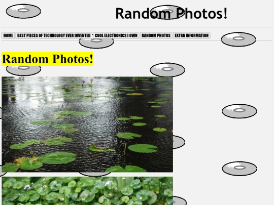 randomphotos screenshot
