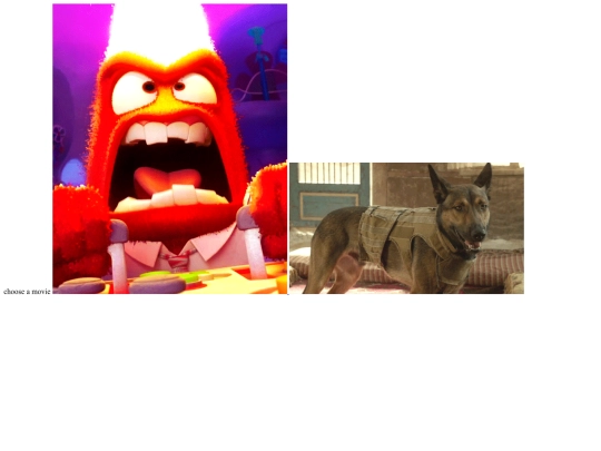 dogshorsescats screenshot