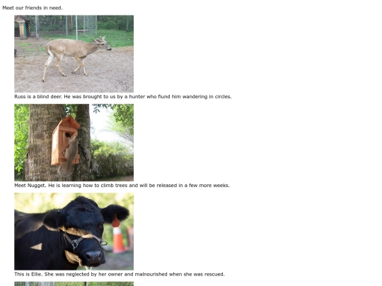 labs/rescue/galllery screenshot