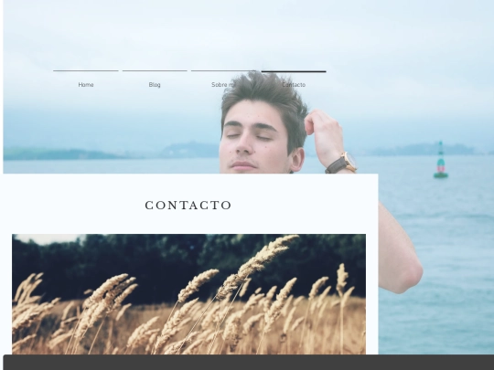 contacto screenshot