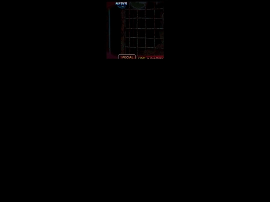 turtle screenshot