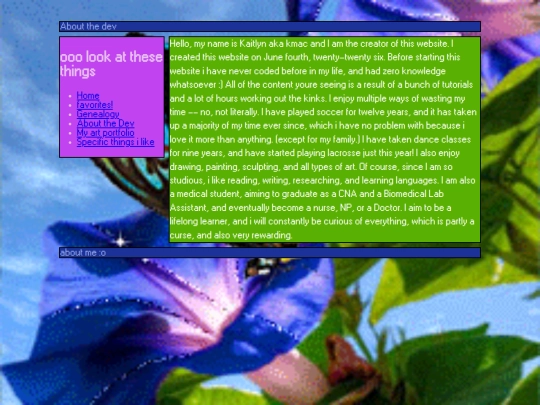 aboutthedev screenshot
