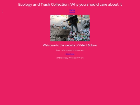 final screenshot