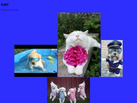 cat screenshot