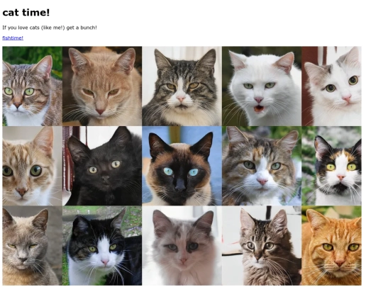 cattime screenshot