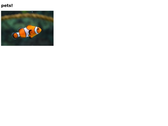 pets screenshot