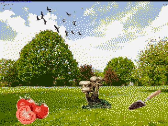 garden screenshot