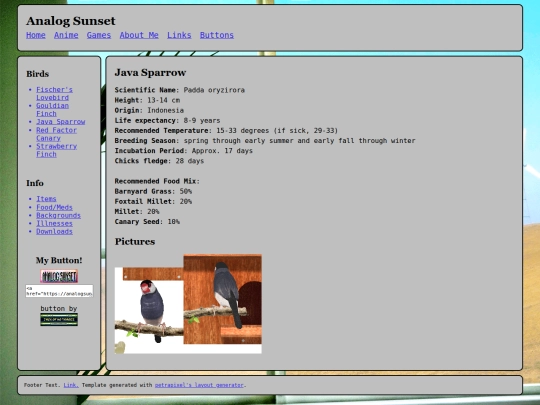 pinna/javasparrow screenshot