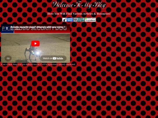 ladybug screenshot