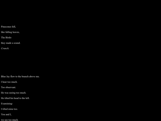 story screenshot