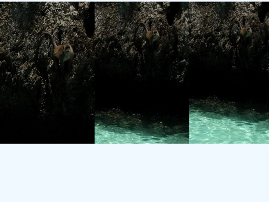 singe screenshot