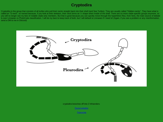 chelonians/testudinata/testudines/cryptodira screenshot