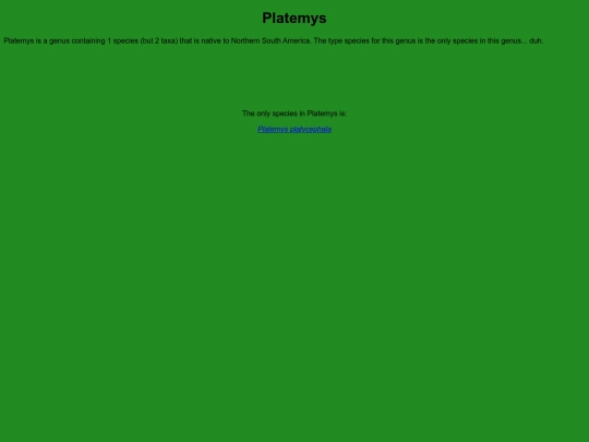 chelonians/testudinata/testudines/pleurodira/cheloidea/chelidae/chelinae/platemys screenshot