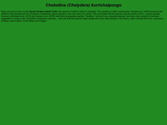 chelonians/testudinata/testudines/pleurodira/cheloidea/chelidae/chelodininae/chelodina/chelydera/kurrichalpongo screenshot